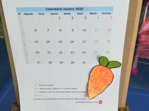 Calendário da Cenoura